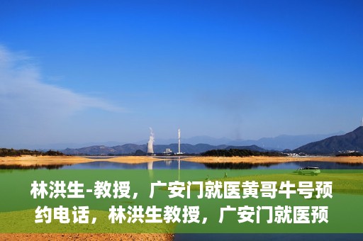 林洪生-教授，广安门就医黄哥牛号预约电话，林洪生教授，广安门就医预约热线与黄哥牛号背后的故事