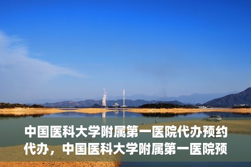 中国医科大学附属第一医院代办预约代办，中国医科大学附属第一医院预约代办服务详解