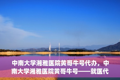 中南大学湘雅医院黄哥牛号代办，中南大学湘雅医院黄哥牛号——就医代办服务详解