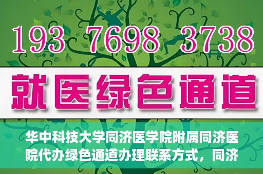 华中科技大学同济医学院附属同济医院代办绿色通道办理联系方式，同济医院绿色通道办理指南，联系方式及代办流程揭秘