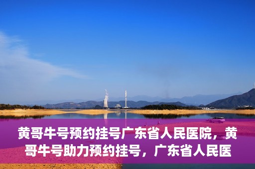 黄哥牛号预约挂号广东省人民医院，黄哥牛号助力预约挂号，广东省人民医院便捷就医新体验