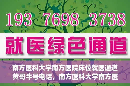 南方医科大学南方医院床位就医通道黄哥牛号电话，南方医科大学南方医院床位预约就医通道揭秘，黄哥牛号电话公开分享