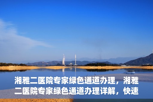 湘雅二医院专家绿色通道办理，湘雅二医院专家绿色通道办理详解，快速就医新途径揭秘