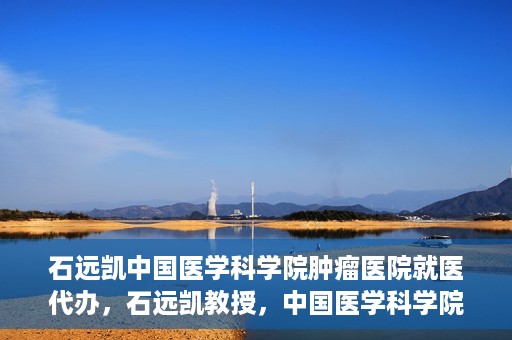石远凯中国医学科学院肿瘤医院就医代办，石远凯教授，中国医学科学院肿瘤医院就医攻略与代办服务解析