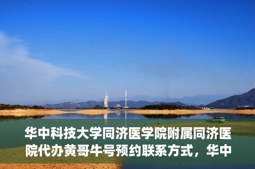 华中科技大学同济医学院附属同济医院代办黄哥牛号预约联系方式，华中科技大学同济医院黄哥牛号预约联系方式及代办服务解析