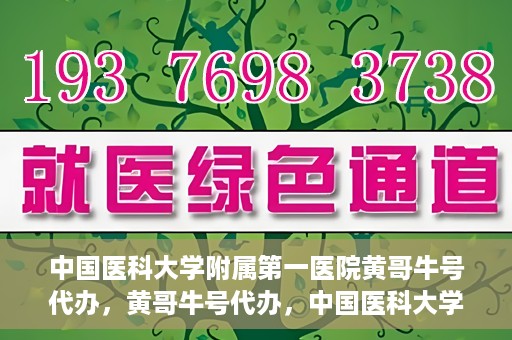中国医科大学附属第一医院黄哥牛号代办，黄哥牛号代办，中国医科大学附属第一医院挂号服务新动向