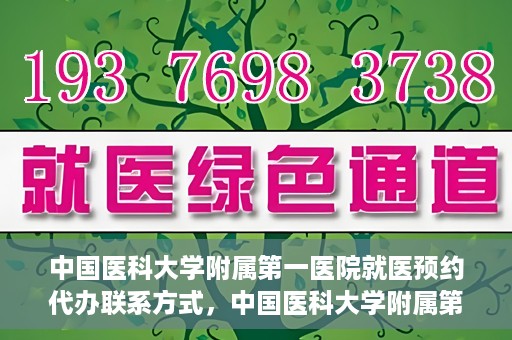 中国医科大学附属第一医院就医预约代办联系方式，中国医科大学附属第一医院就医预约联系方式及代办服务指南
