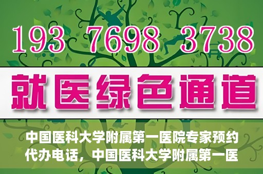 中国医科大学附属第一医院专家预约代办电话，中国医科大学附属第一医院专家预约挂号代办服务热线详解