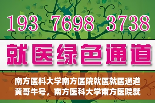 南方医科大学南方医院就医就医通道黄哥牛号，南方医科大学南方医院就医通道解析，黄哥牛号的就医之旅