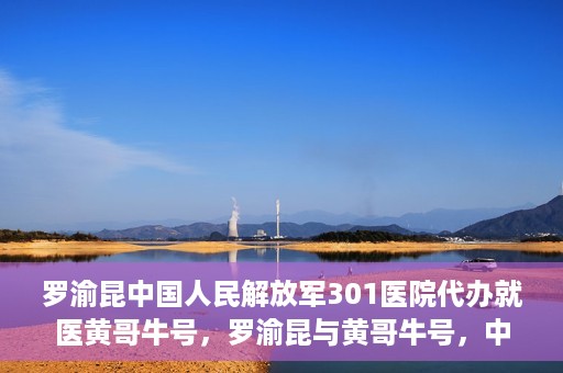 罗渝昆中国人民解放军301医院代办就医黄哥牛号，罗渝昆与黄哥牛号，中国人民解放军301医院就医代办服务解析
