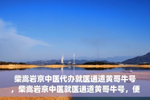 柴嵩岩京中医代办就医通道黄哥牛号，柴嵩岩京中医就医通道黄哥牛号，便捷就医新选择
