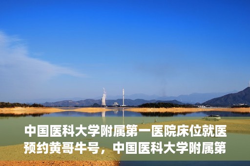中国医科大学附属第一医院床位就医预约黄哥牛号，中国医科大学附属第一医院床位预约就医攻略，黄哥牛号助您轻松挂号就医