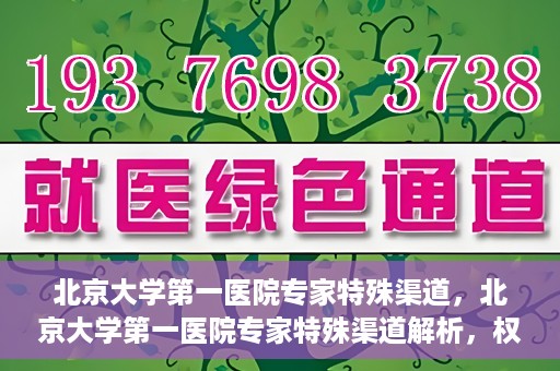 北京大学第一医院专家特殊渠道，北京大学第一医院专家特殊渠道解析，权威医疗资源的独特路径探索