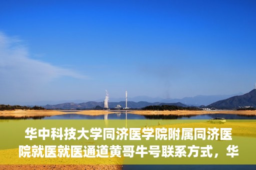 华中科技大学同济医学院附属同济医院就医就医通道黄哥牛号联系方式，华中科技大学同济医院就医通道详解，黄哥牛号联系方式揭秘