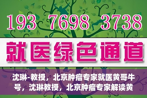 沈琳-教授，北京肿瘤专家就医黄哥牛号，沈琳教授，北京肿瘤专家解读黄哥牛号就医秘籍