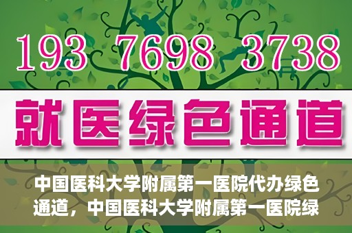 中国医科大学附属第一医院代办绿色通道，中国医科大学附属第一医院绿色通道代办服务详解