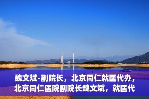 魏文斌-副院长，北京同仁就医代办，北京同仁医院副院长魏文斌，就医代办的专业解读与实践