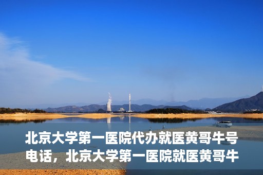 北京大学第一医院代办就医黄哥牛号电话，北京大学第一医院就医黄哥牛号代办服务电话揭秘