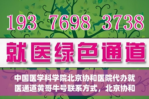 中国医学科学院北京协和医院代办就医通道黄哥牛号联系方式，北京协和医院代办就医通道，黄哥牛号联系方式揭秘