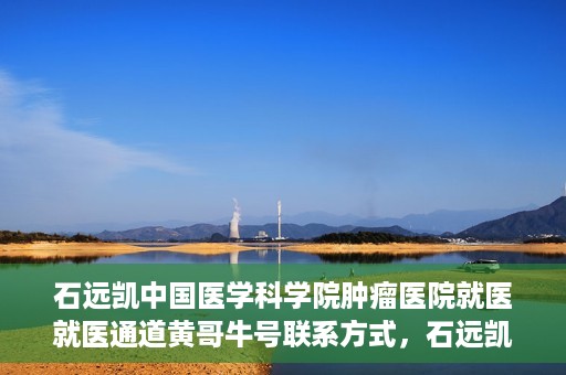 石远凯中国医学科学院肿瘤医院就医就医通道黄哥牛号联系方式，石远凯领衔的中国医学科学院肿瘤医院就医通道，黄哥牛号联系方式全解析