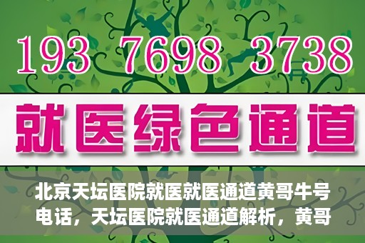 北京天坛医院就医就医通道黄哥牛号电话，天坛医院就医通道解析，黄哥牛号电话背后的就医故事