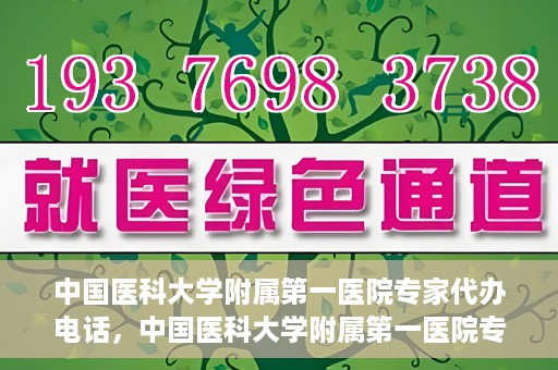 中国医科大学附属第一医院专家代办电话，中国医科大学附属第一医院专家电话代办服务详解