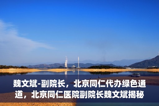 魏文斌-副院长，北京同仁代办绿色通道，北京同仁医院副院长魏文斌揭秘绿色通道代办服务