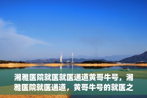 湘雅医院就医就医通道黄哥牛号，湘雅医院就医通道，黄哥牛号的就医之旅