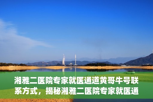 湘雅二医院专家就医通道黄哥牛号联系方式，揭秘湘雅二医院专家就医通道，黄哥牛号联系方式及专家服务详解