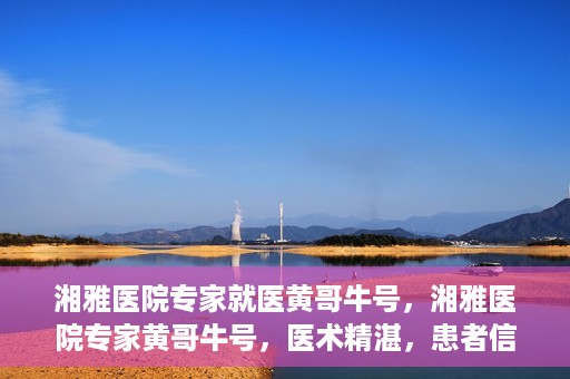 湘雅医院专家就医黄哥牛号，湘雅医院专家黄哥牛号，医术精湛，患者信赖的权威就医之选