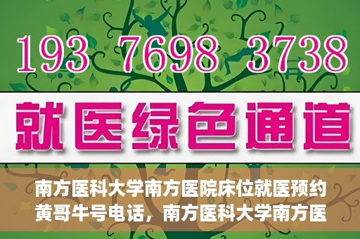 南方医科大学南方医院床位就医预约黄哥牛号电话，南方医科大学南方医院床位预约服务热线揭秘，黄哥牛号电话助您轻松就医
