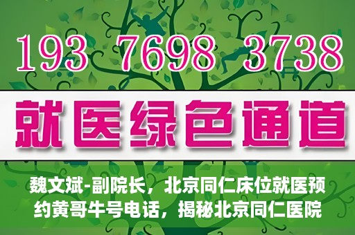 魏文斌-副院长，北京同仁床位就医预约黄哥牛号电话，揭秘北京同仁医院预约背后的故事，副院长魏文斌与床位预约黄哥牛号电话解读