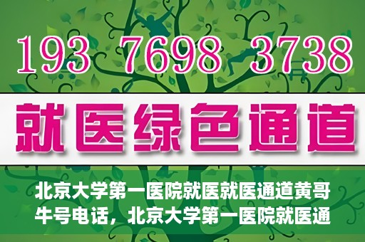 北京大学第一医院就医就医通道黄哥牛号电话，北京大学第一医院就医通道解析，黄哥牛号电话全解读