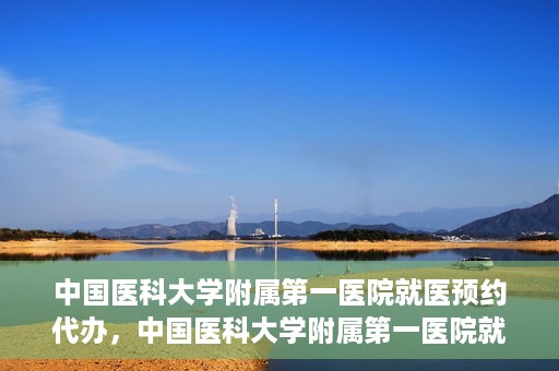 中国医科大学附属第一医院就医预约代办，中国医科大学附属第一医院就医预约代办服务详解