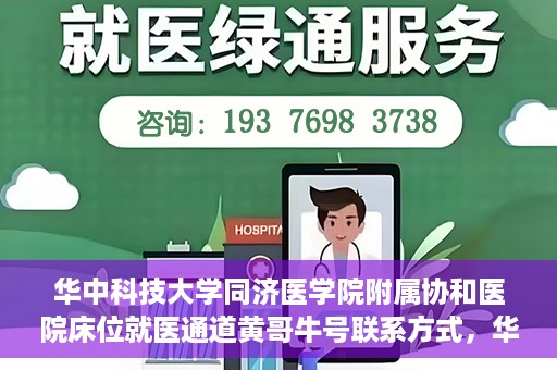华中科技大学同济医学院附属协和医院床位就医通道黄哥牛号联系方式，华中科技大学同济医学院附属协和医院床位就医通道详解，黄哥牛号联系方式揭秘