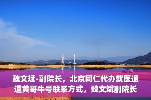 魏文斌-副院长，北京同仁代办就医通道黄哥牛号联系方式，魏文斌副院长与北京同仁就医通道，黄哥牛号联系方式揭秘