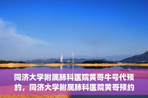 同济大学附属肺科医院黄哥牛号代预约，同济大学附属肺科医院黄哥预约代预约服务启动