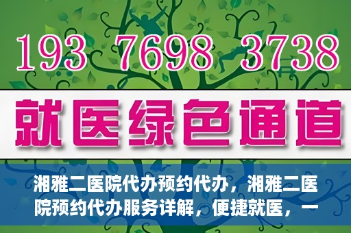 湘雅二医院代办预约代办，湘雅二医院预约代办服务详解，便捷就医，一键预约代办体验
