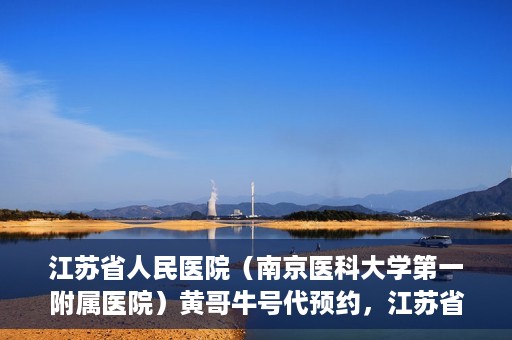 江苏省人民医院（南京医科大学第一附属医院）黄哥牛号代预约，江苏省人民医院（南京医科大学第一附属医院）黄哥牛号预约服务解析