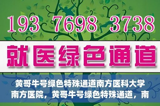黄哥牛号绿色特殊通道南方医科大学南方医院，黄哥牛号绿色特殊通道，南方医科大学南方医院的探索与实践