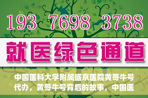 中国医科大学附属盛京医院黄哥牛号代办，黄哥牛号背后的故事，中国医科大学附属盛京医院的信赖之选
