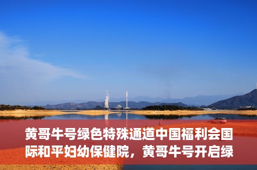 黄哥牛号绿色特殊通道中国福利会国际和平妇幼保健院，黄哥牛号开启绿色特殊通道，助力国际和平妇幼保健院中国福利行动