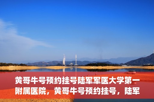 黄哥牛号预约挂号陆军军医大学第一附属医院，黄哥牛号预约挂号，陆军军医大学第一附属医院就医新体验