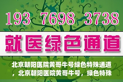 北京朝阳医院黄哥牛号绿色特殊通道，北京朝阳医院黄哥牛号，绿色特殊通道开启健康之门