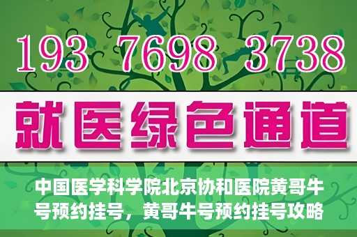 中国医学科学院北京协和医院黄哥牛号预约挂号，黄哥牛号预约挂号攻略，中国医学科学院北京协和医院就医指南