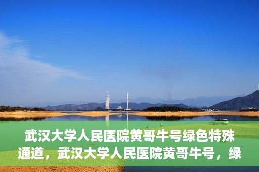 武汉大学人民医院黄哥牛号绿色特殊通道，武汉大学人民医院黄哥牛号，绿色特殊通道开启