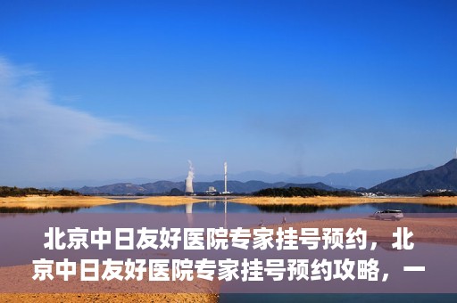 北京中日友好医院专家挂号预约，北京中日友好医院专家挂号预约攻略，一站式解决您的就医难题