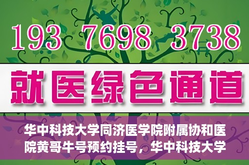 华中科技大学同济医学院附属协和医院黄哥牛号预约挂号，华中科技大学同济医学院附属协和医院黄哥牛号预约挂号攻略解析
