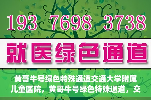 黄哥牛号绿色特殊通道交通大学附属儿童医院，黄哥牛号绿色特殊通道，交通大学附属儿童医院的探索与实践