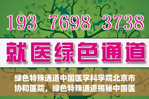 绿色特殊通道中国医学科学院北京市协和医院，绿色特殊通道揭秘中国医学科学院北京市协和医院的力量与担当